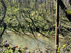 سؤییت نوساز ستاره شهر سؤییت نوساز ستاره شهر