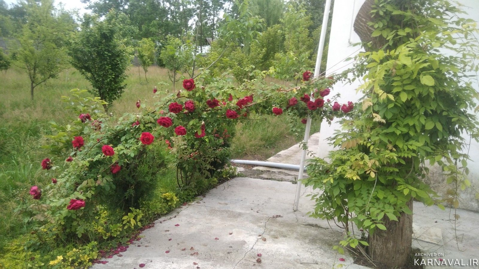 ویلای حیاط دار "آکام"