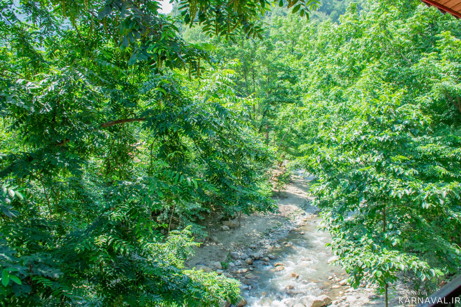 واحد چوبی جنگلی لب رودخانه