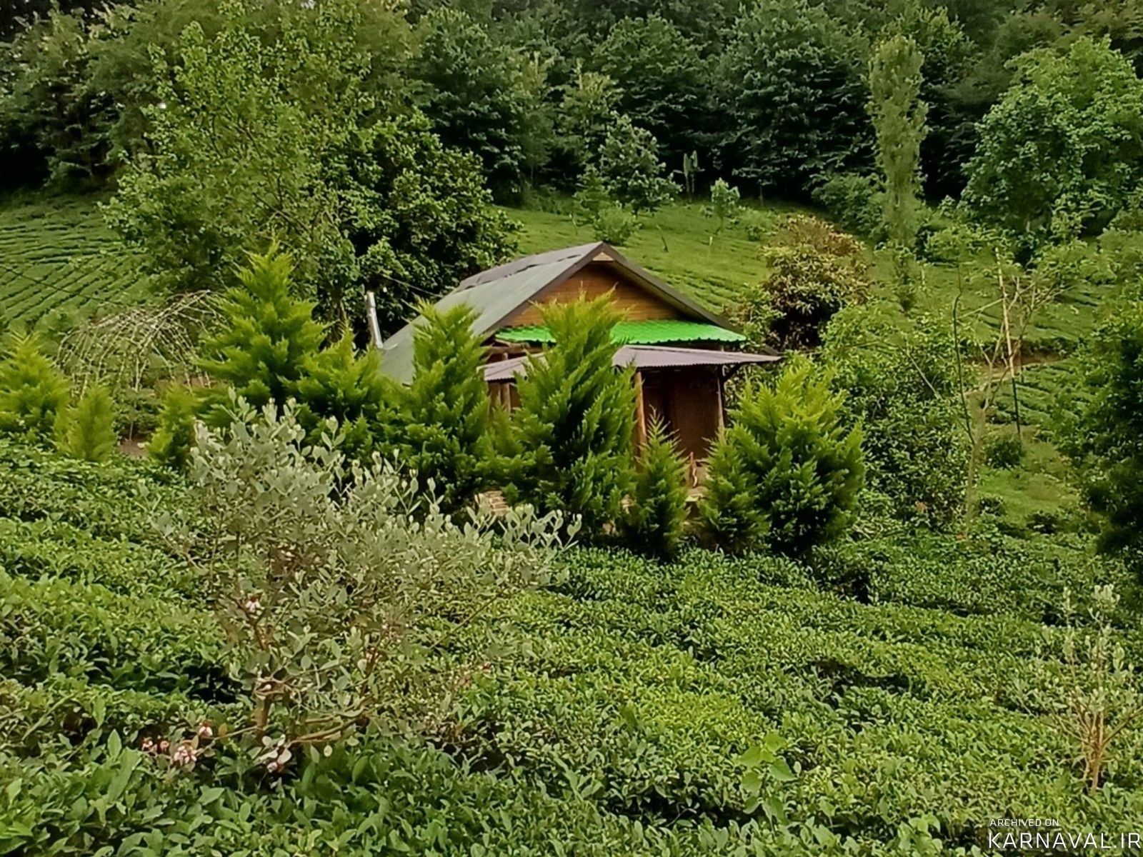 کلبه جنگلی دلین کلبه جنگلی دلین