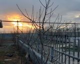 مجموعه اقامتی کندیم "ویلای دو خوابه 9" مجموعه اقامتی کندیم "ویلای دو خوابه 9"