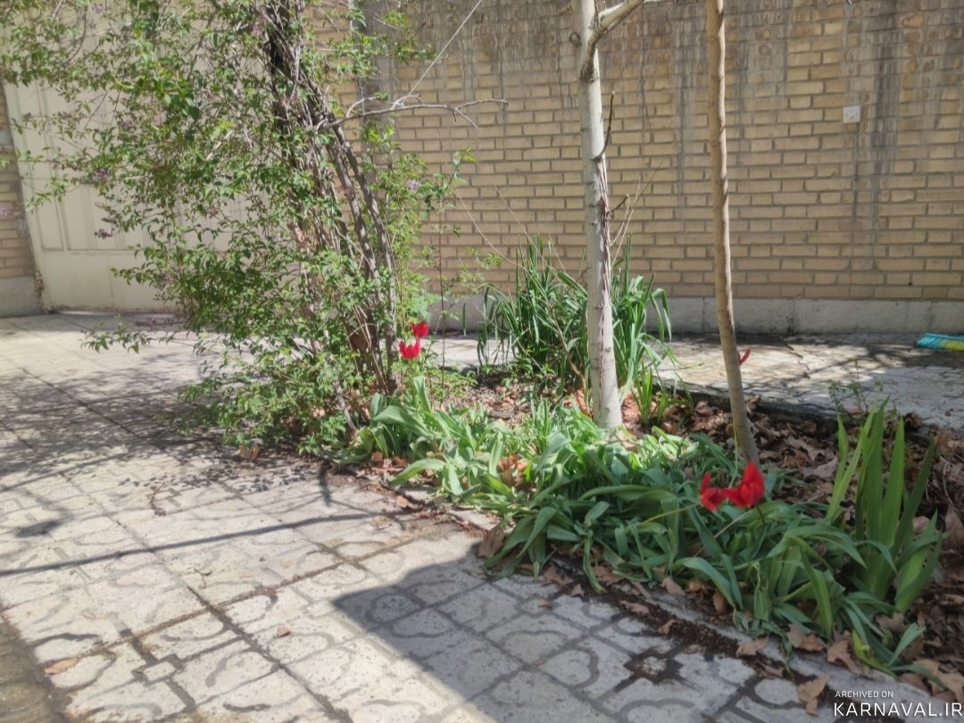 ویلای دربست دو خواب ناژوان