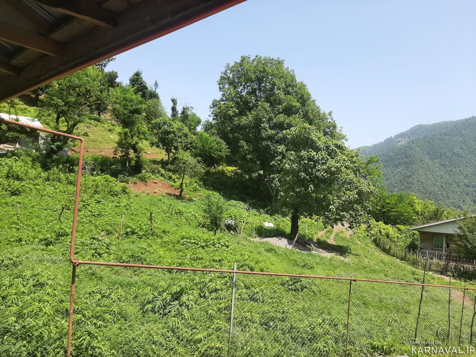 ویلا جنگلی دربست باحیاطی بزرگ