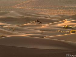 اقامتگاه جمکرد اتاق (1) اقامتگاه جمکرد اتاق (1)