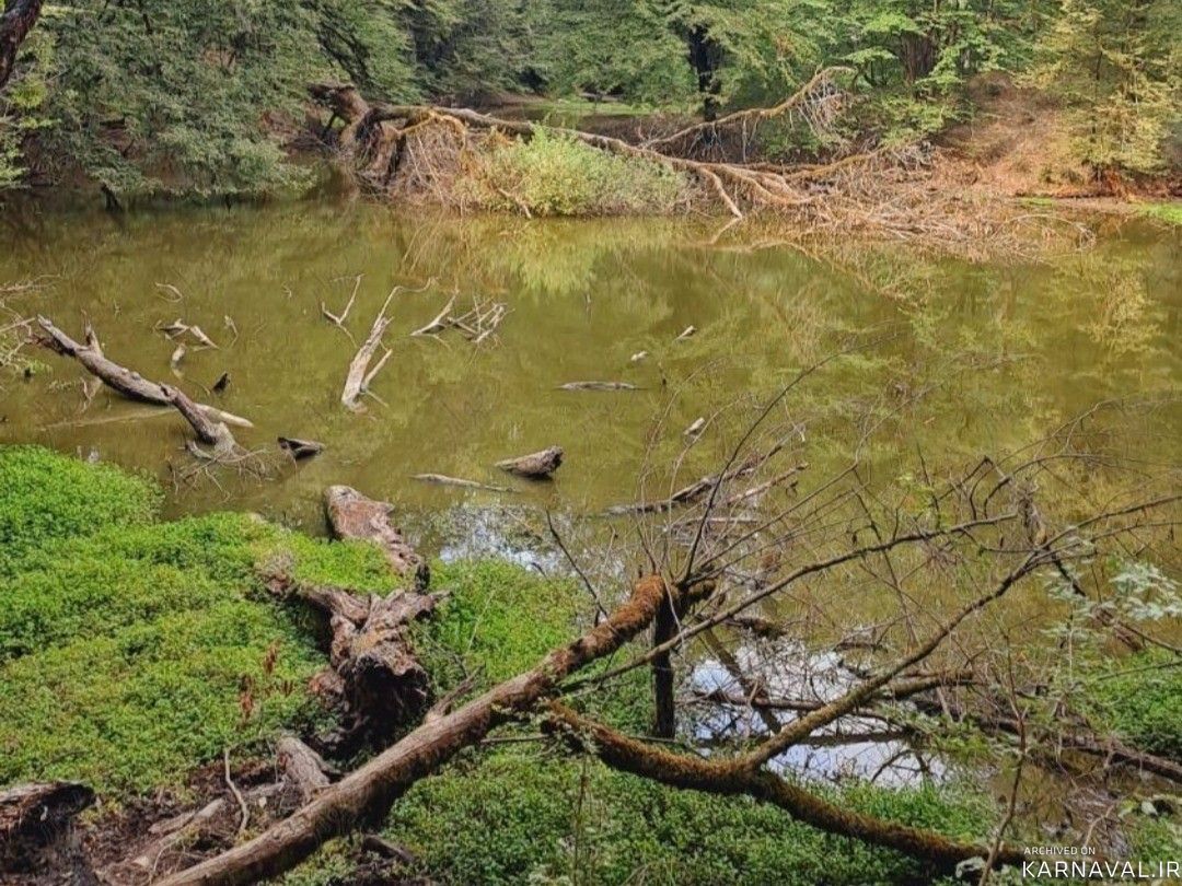 سوئیت بدون اتاق خواب در روستای جعفر آباد