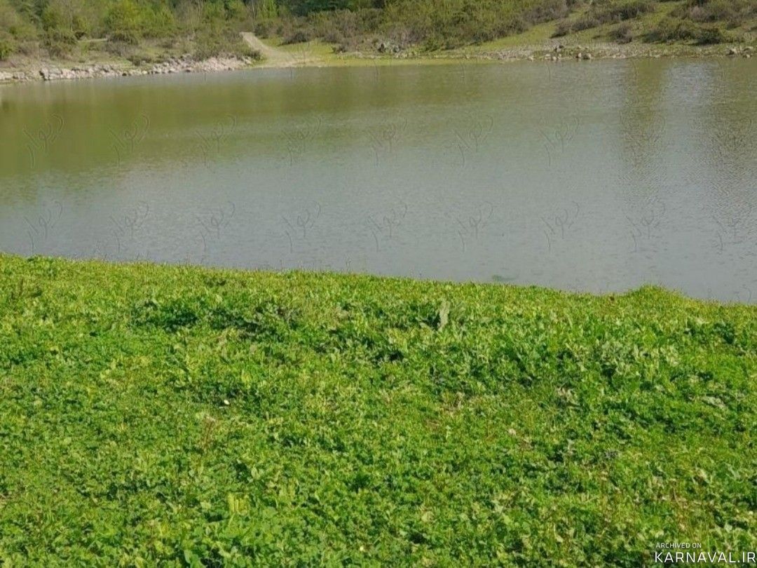سوئیت بدون اتاق خواب در روستای جعفر آباد
