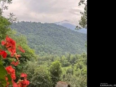 ویلای تک خوابه با پذیرایی شیشه ایی با منظره جنگل ویلای تک خوابه با پذیرایی شیشه ایی با منظره جنگل