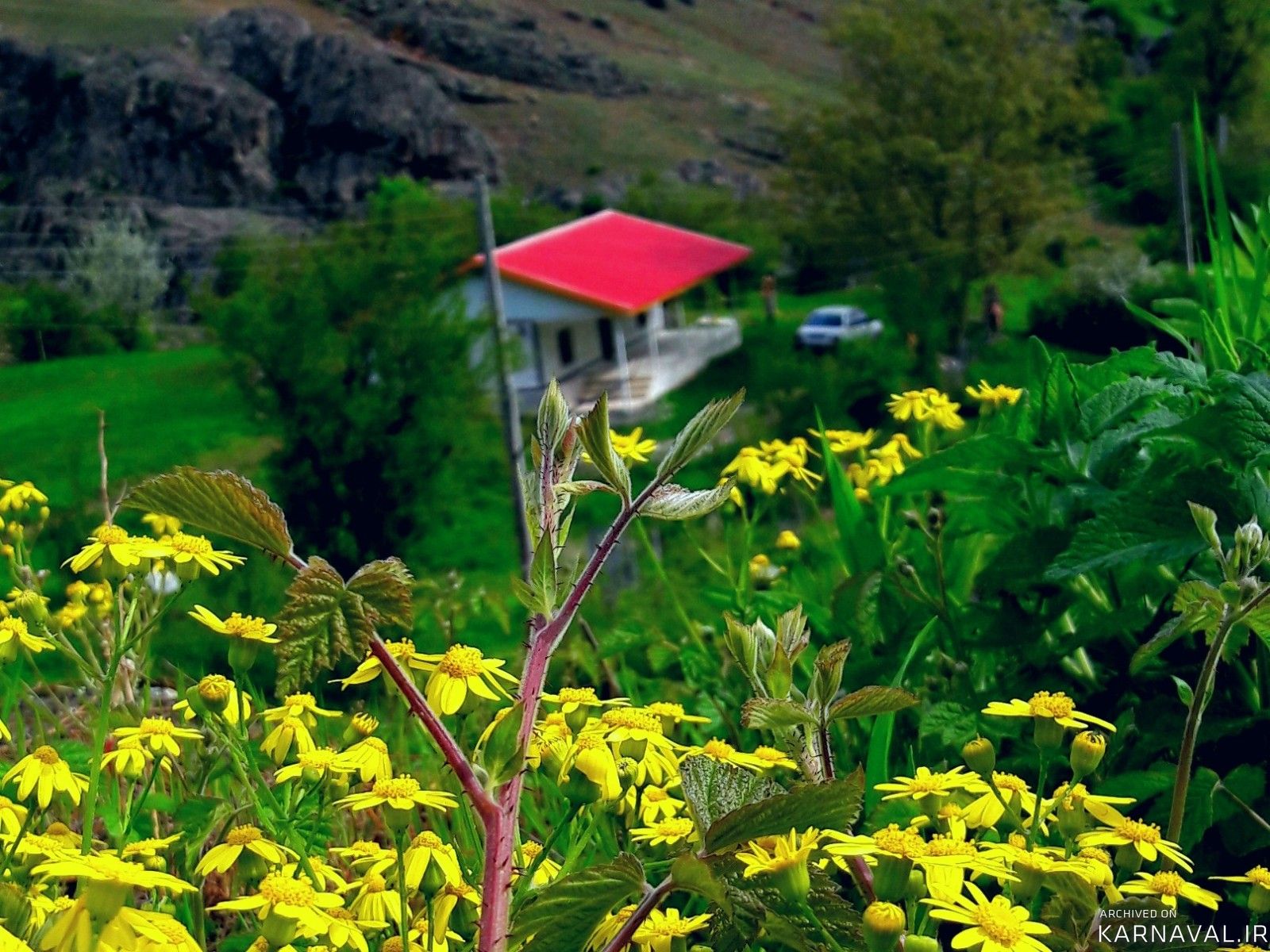 ویلای یک خوابه زیبا در روستای لر ریک