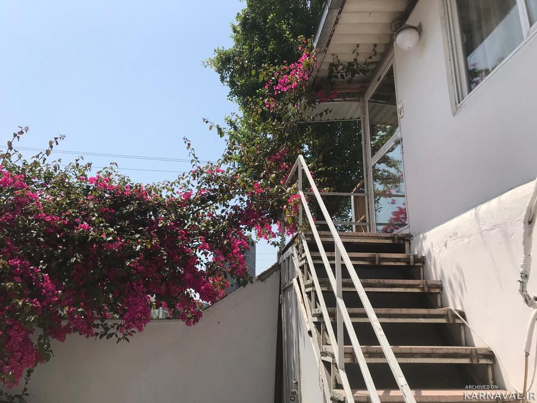 ویلای ساحلی متل نخل (108)