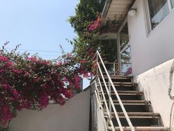 ویلای ساحلی متل نخل (108) ویلای ساحلی متل نخل (108)