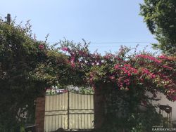 ویلای ساحلی متل نخل (108) ویلای ساحلی متل نخل (108)