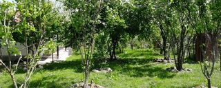 ویلای روستایی شمس ویلای روستایی شمس