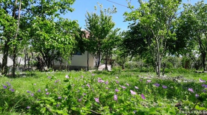 ویلای روستایی شمس