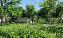 ویلای روستایی شمس ویلای روستایی شمس