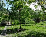 ویلای روستایی شمس ویلای روستایی شمس