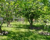ویلای روستایی شمس ویلای روستایی شمس