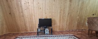 کلبه چوبی سرسبز کلبه چوبی سرسبز