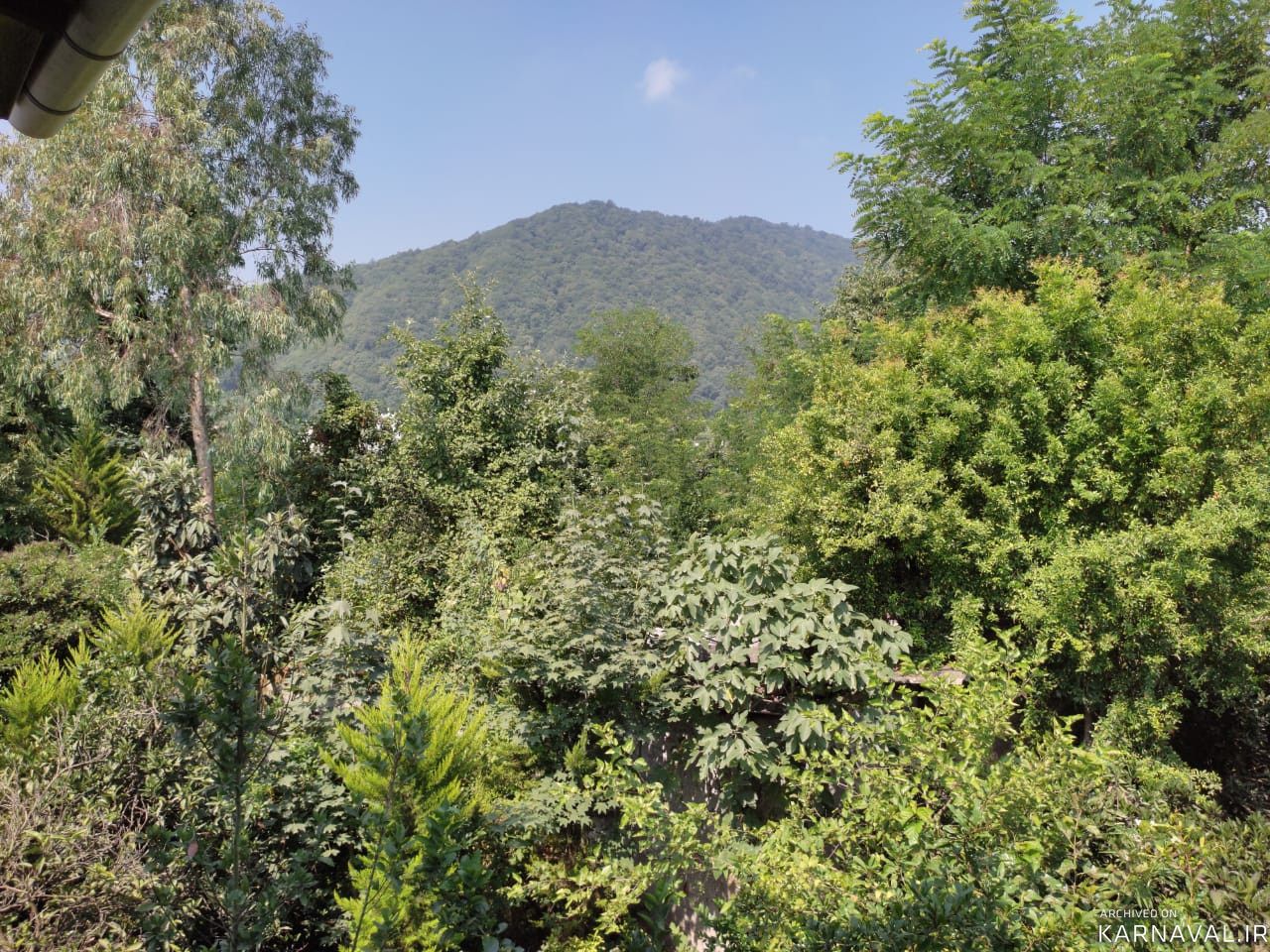 ویلای دو خوابه جنگلی با ویوی دریا 