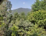 ویلای دو خوابه جنگلی با ویوی دریا ویلای دو خوابه جنگلی با ویوی دریا