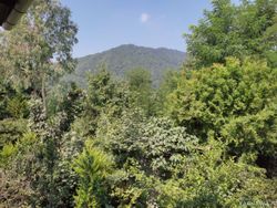 ویلای دو خوابه جنگلی با ویوی دریا ویلای دو خوابه جنگلی با ویوی دریا