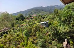 ویلای دو خوابه جنگلی با ویوی دریا ویلای دو خوابه جنگلی با ویوی دریا