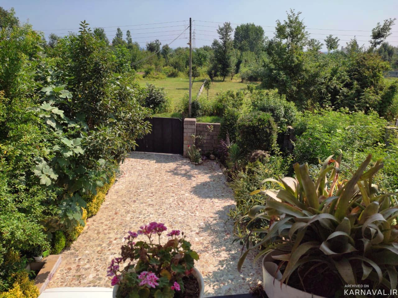 ویلای دو خوابه جنگلی با ویوی دریا 