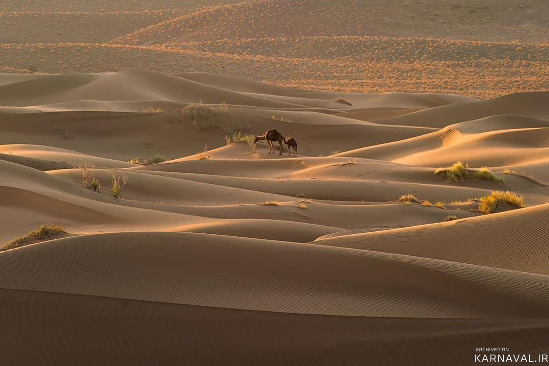 اقامتگاه جمکرد اتاق (10)