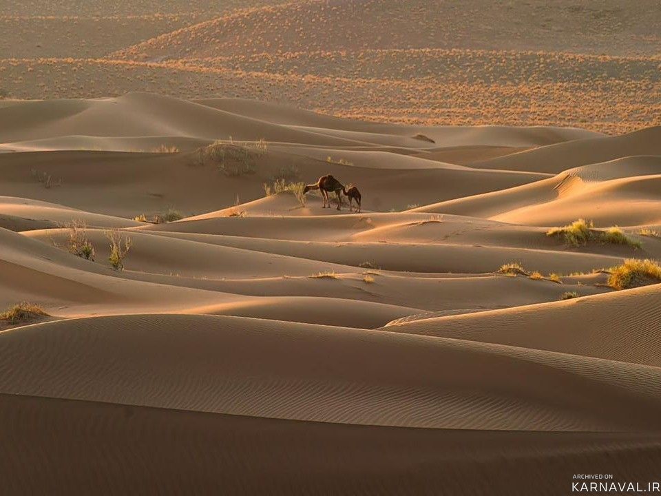 اقامتگاه جمکرد اتاق (9)