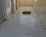 عمارت بومگردی خشت و گل اتاق (12) عمارت بومگردی خشت و گل اتاق (12)