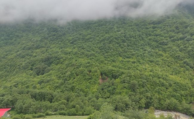 ویلا نگین ۱ ویلا نگین ۱