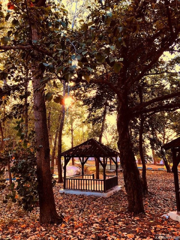 ویلای یک خوابه هتل پارمیس پلاژ راه آهن