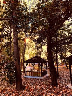 ویلای یک خوابه هتل پارمیس پلاژ راه آهن ویلای یک خوابه هتل پارمیس پلاژ راه آهن