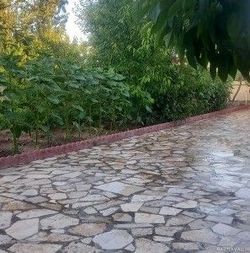 ویلای حیاطدار " کلبه سفید " ویلای حیاطدار " کلبه سفید "