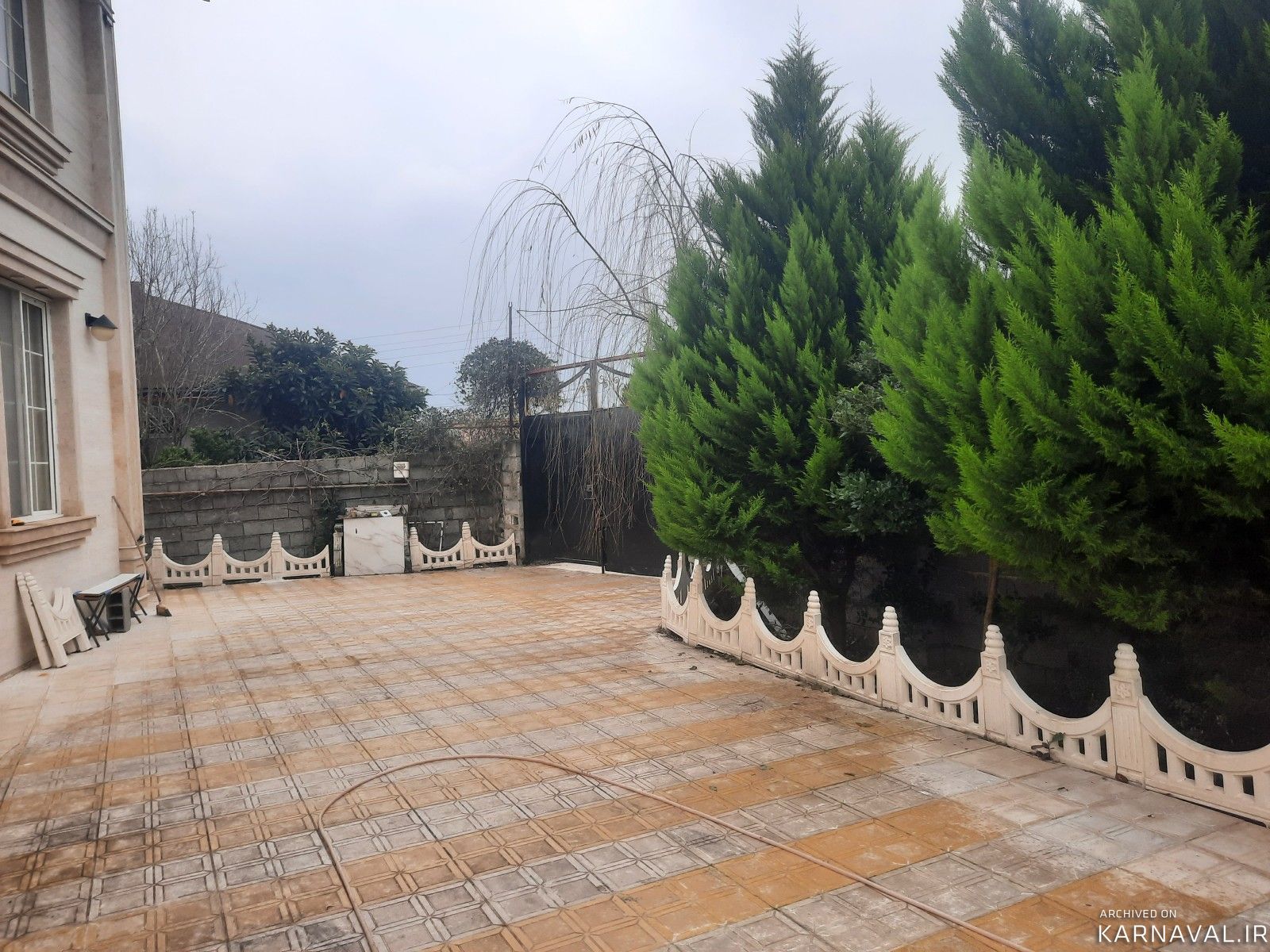 بیدمجنون ۱ بیدمجنون ۱