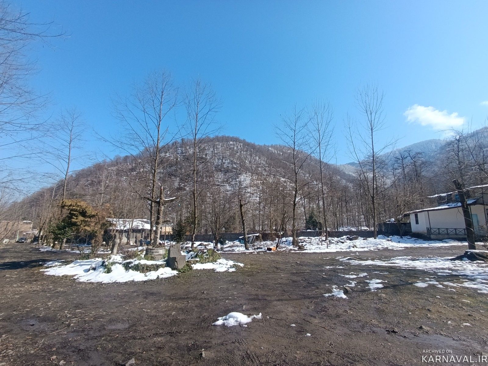 کلبه جنگلی تک خواب 5