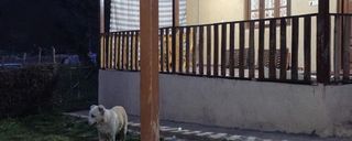 اقامتگاه بومگردی "آبشار سمبی" در یخکش اقامتگاه بومگردی "آبشار سمبی" در یخکش
