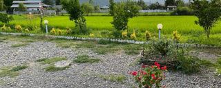 ویلای چوبی سورنا
ویلای چوبی سورنا