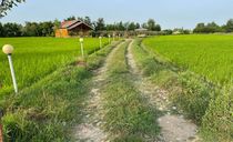 ویلای چوبی سورنا
ویلای چوبی سورنا
