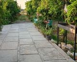 ویلای دوبلکس "رزگل" ویلای دوبلکس "رزگل"