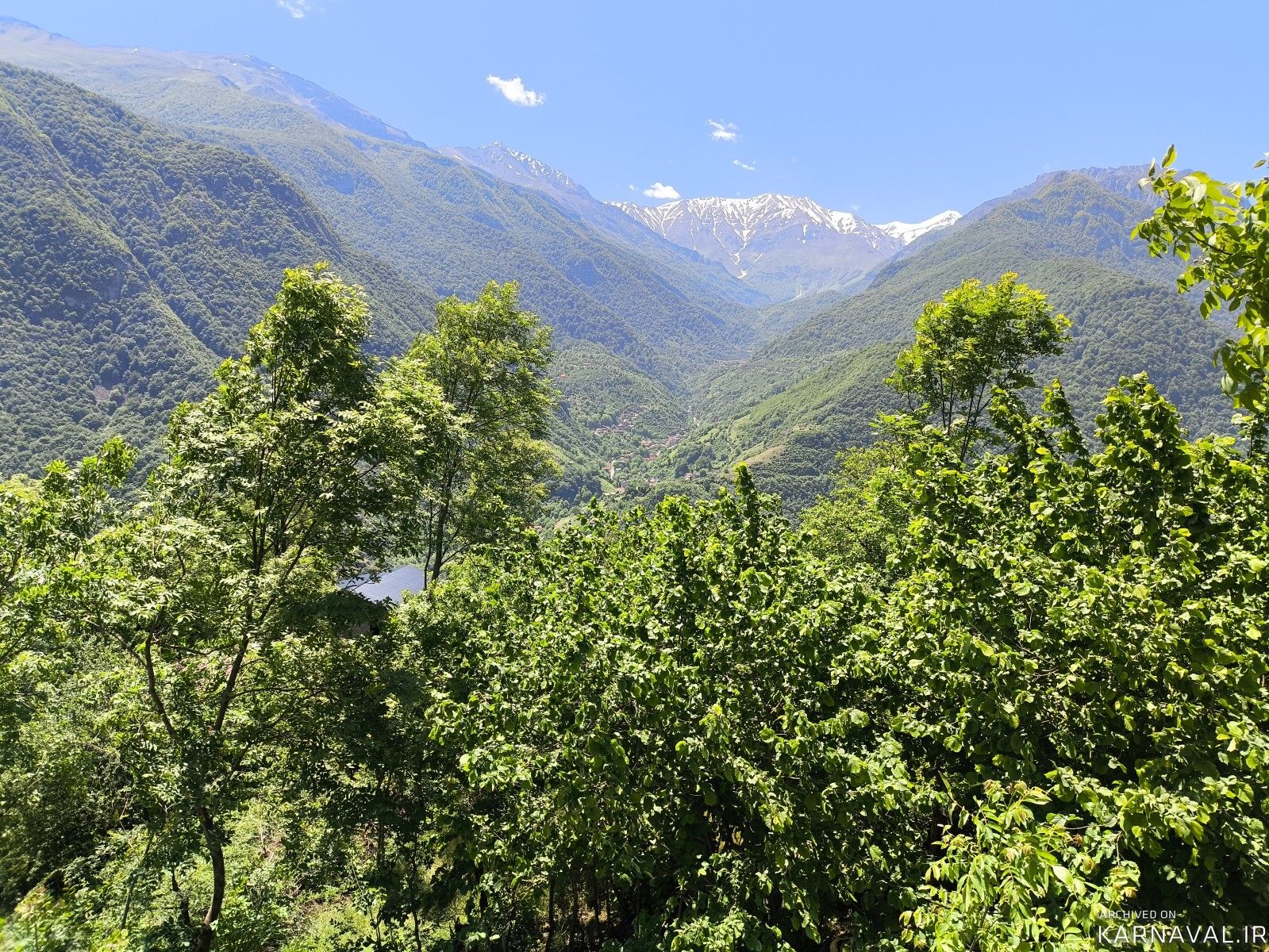 کلبه جنگلی جکوزی‌دار