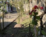 ویلای حیاطدار "سرمهر" ویلای حیاطدار "سرمهر"