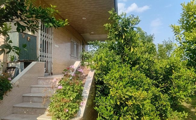 ویلای سرسبز در روستای بالا مرزناک بابل ویلای سرسبز در روستای بالا مرزناک بابل