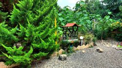 خانه باغ دو خوابه تنکابن خانه باغ دو خوابه تنکابن