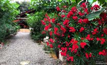 خانه باغ دو خوابه تنکابن خانه باغ دو خوابه تنکابن