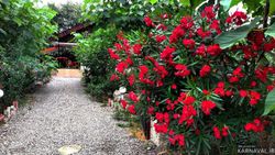 خانه باغ دو خوابه تنکابن خانه باغ دو خوابه تنکابن