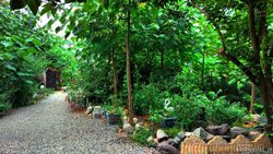 خانه باغ دو خوابه تنکابن خانه باغ دو خوابه تنکابن