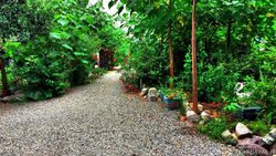 خانه باغ دو خوابه تنکابن خانه باغ دو خوابه تنکابن