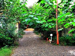 خانه باغ دو خوابه تنکابن خانه باغ دو خوابه تنکابن