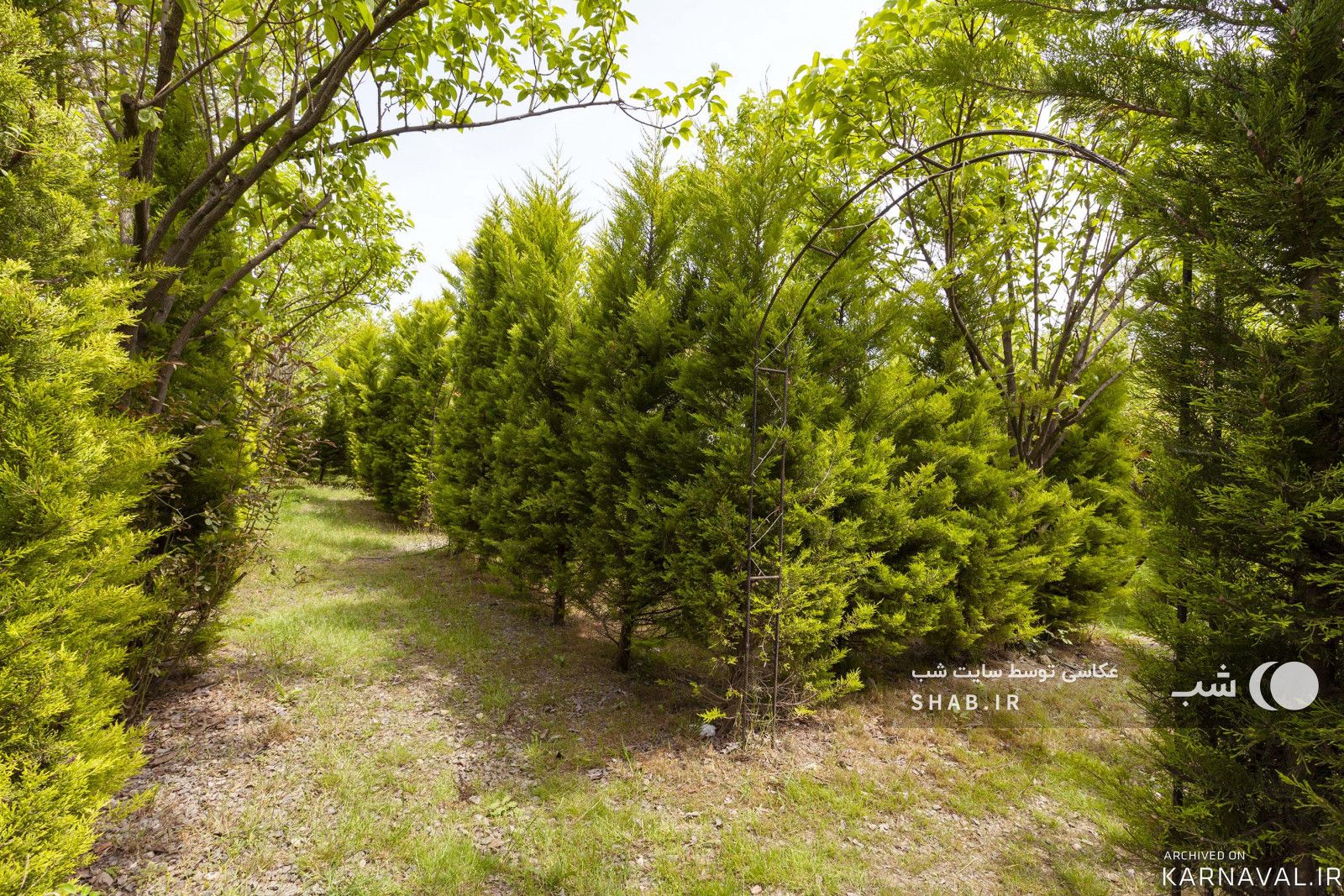 ویلا در مجموعه اقامتی زمرد آستارا
