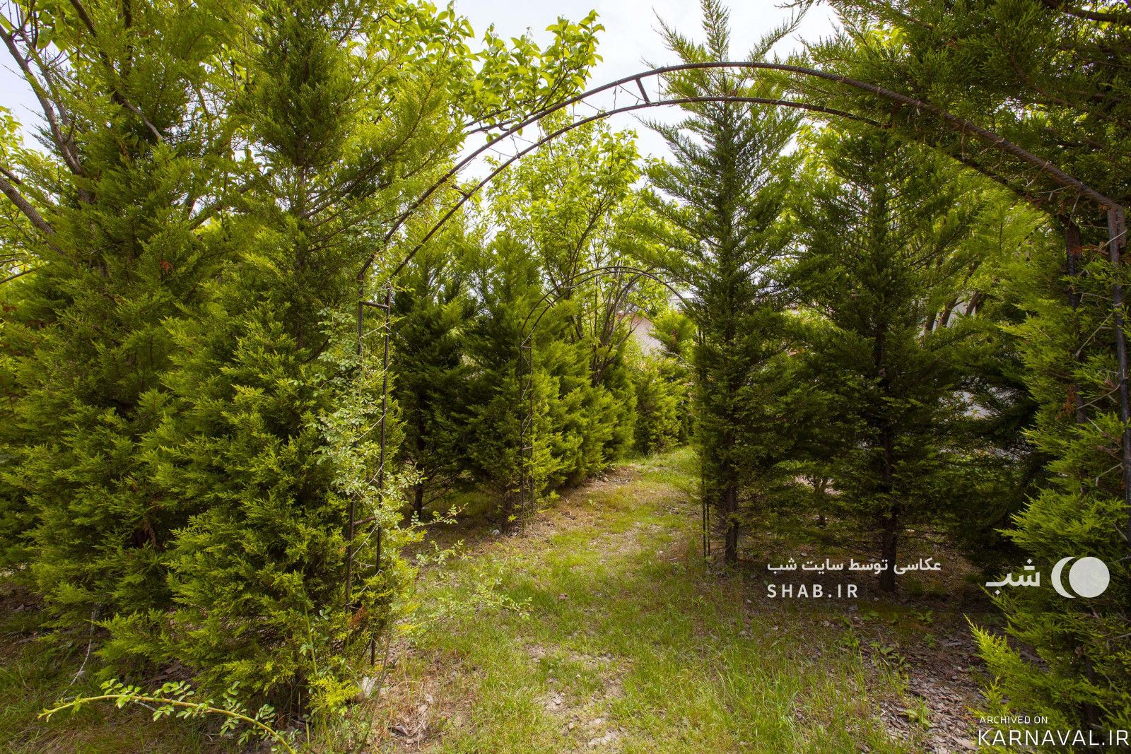 ویلا در مجموعه اقامتی زمرد آستارا
